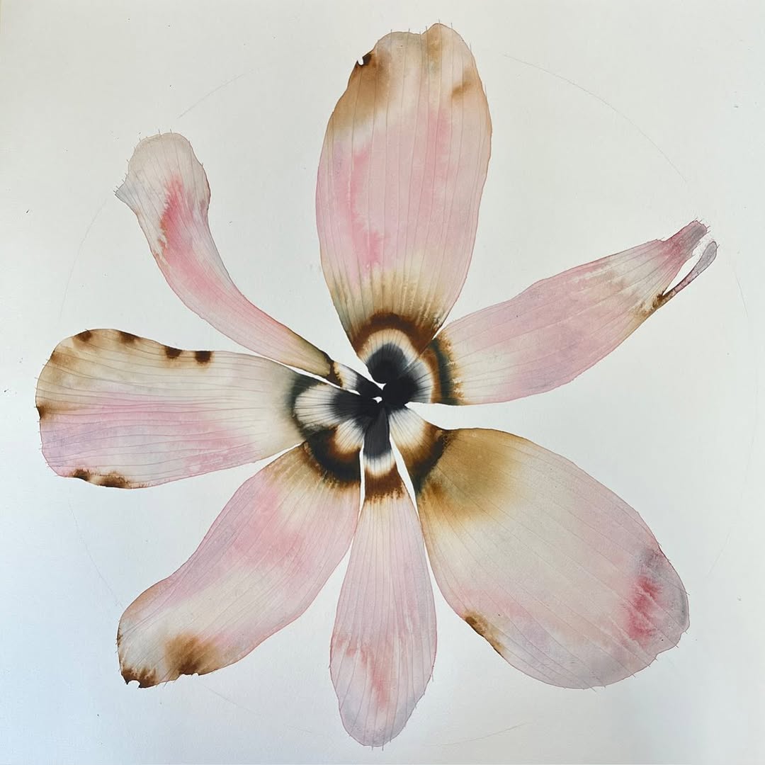 Flora by Stephen Doherty, 2023